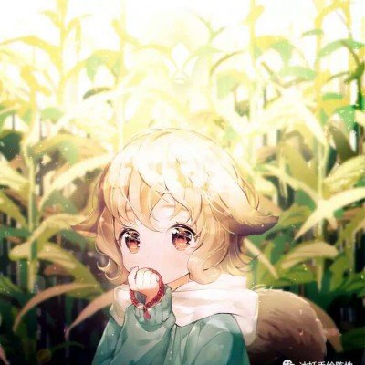韩国法国发表联合声明